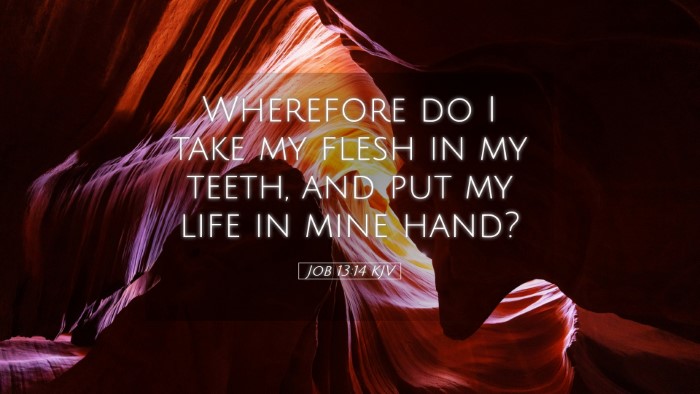 Picture 05 - Job 13:14 KJV Desktop Wallpaper - Wherefore do I take my flesh in my teeth, and put - Desktop Bible Verse Wallpaper
