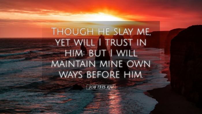 Picture 05 - Job 13:15 KJV Desktop Wallpaper - Though he slay me, yet will I trust in him: but I - Desktop Bible Verse Wallpaper