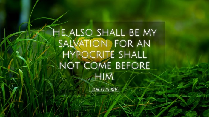 Picture 05 - Job 13:16 KJV Desktop Wallpaper - He also shall be my salvation: for an hypocrite - Desktop Bible Verse Wallpaper