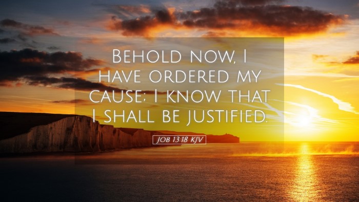 Picture 05 - Job 13:18 KJV Desktop Wallpaper - Behold now, I have ordered my cause; I know that - Desktop Bible Verse Wallpaper