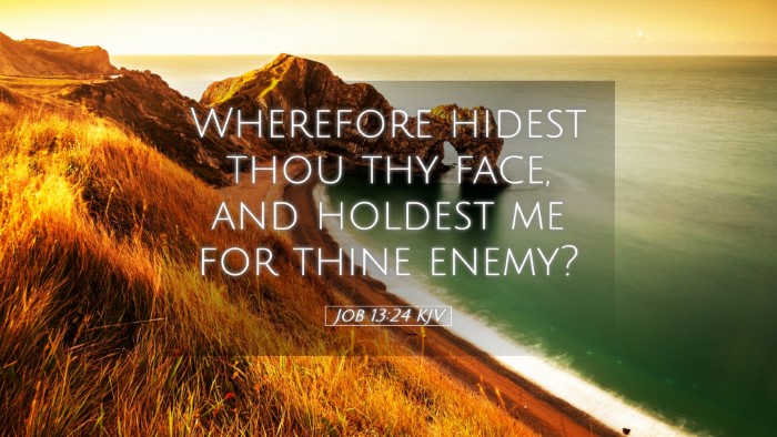 Picture 05 - Job 13:24 KJV Desktop Wallpaper - Wherefore hidest thou thy face, and holdest me - Desktop Bible Verse Wallpaper