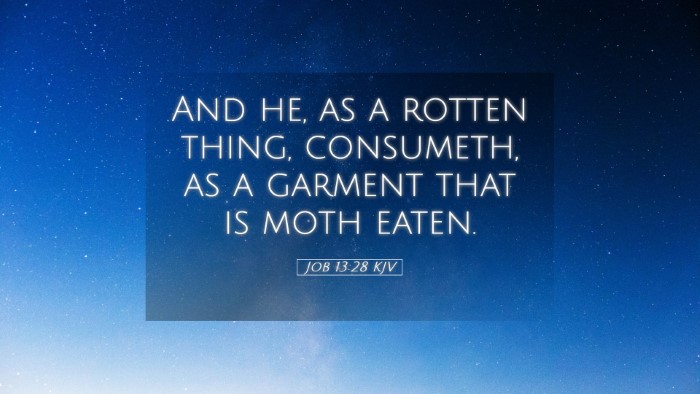 Picture 05 - Job 13:28 KJV Desktop Wallpaper - And he, as a rotten thing, consumeth, as a - Desktop Bible Verse Wallpaper