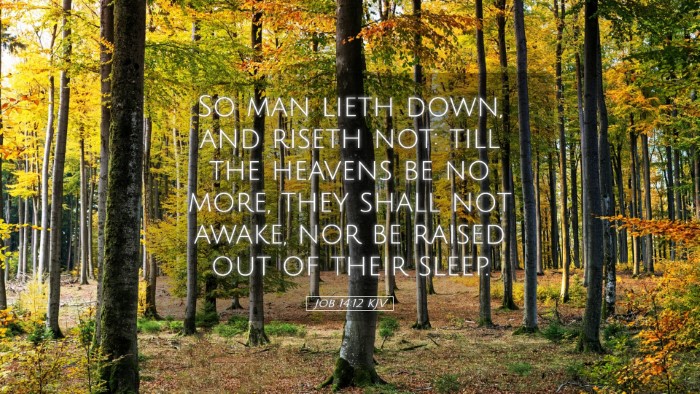 Picture 05 - Job 14:12 KJV Desktop Wallpaper - So man lieth down, and riseth not: till the - Desktop Bible Verse Wallpaper