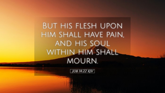 Picture 05 - Job 14:22 KJV Desktop Wallpaper - But his flesh upon him shall have pain, and his - Desktop Bible Verse Wallpaper