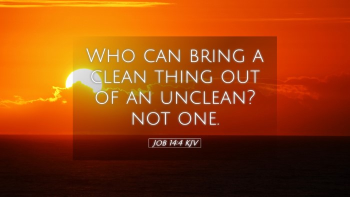 Picture 05 - Job 14:4 KJV Desktop Wallpaper - Who can bring a clean thing out of an unclean? - Desktop Bible Verse Wallpaper