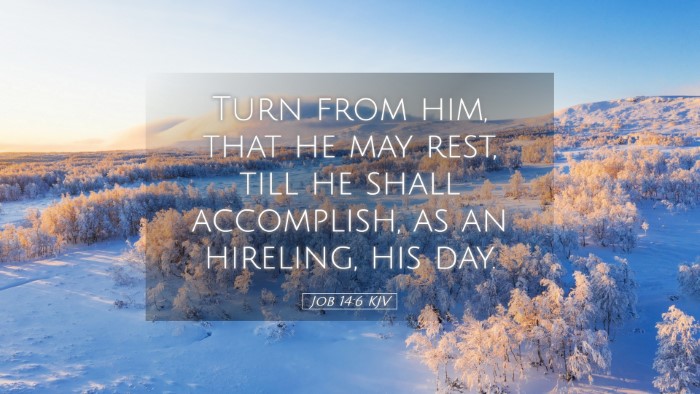 Picture 05 - Job 14:6 KJV Desktop Wallpaper - Turn from him, that he may rest, till he shall - Desktop Bible Verse Wallpaper