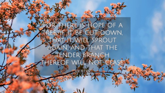 Picture 05 - Job 14:7 KJV Desktop Wallpaper - For there is hope of a tree, if it be cut down, - Desktop Bible Verse Wallpaper