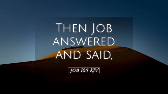 Picture 05 - Job 16:1 KJV Desktop Wallpaper - Then Job answered and - Desktop Bible Verse Wallpaper