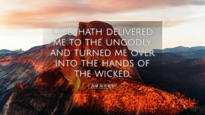 Picture 05 - Job 16:11 KJV Desktop Wallpaper - God hath delivered me to the ungodly, and turned - Desktop Bible Verse Wallpaper