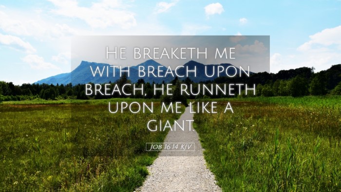 Picture 05 - Job 16:14 KJV Desktop Wallpaper - He breaketh me with breach upon breach, he - Desktop Bible Verse Wallpaper