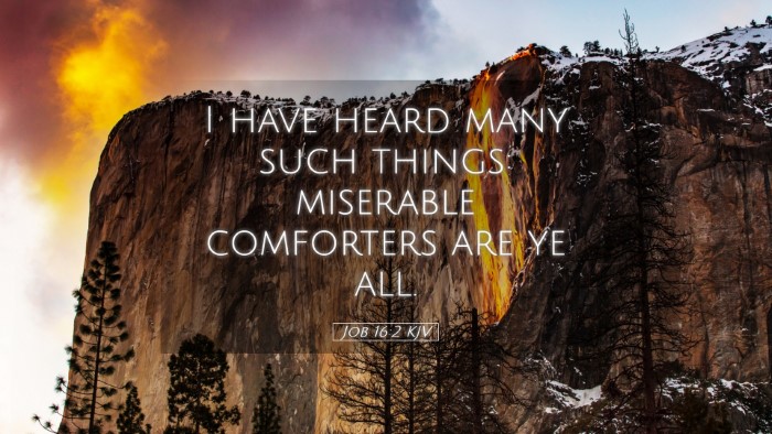 Picture 05 - Job 16:2 KJV Desktop Wallpaper - I have heard many such things: miserable - Desktop Bible Verse Wallpaper