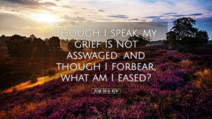 Picture 05 - Job 16:6 KJV Desktop Wallpaper - Though I speak, my grief is not asswaged: and - Desktop Bible Verse Wallpaper