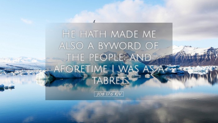Picture 05 - Job 17:6 KJV Desktop Wallpaper - He hath made me also a byword of the people; and - Desktop Bible Verse Wallpaper