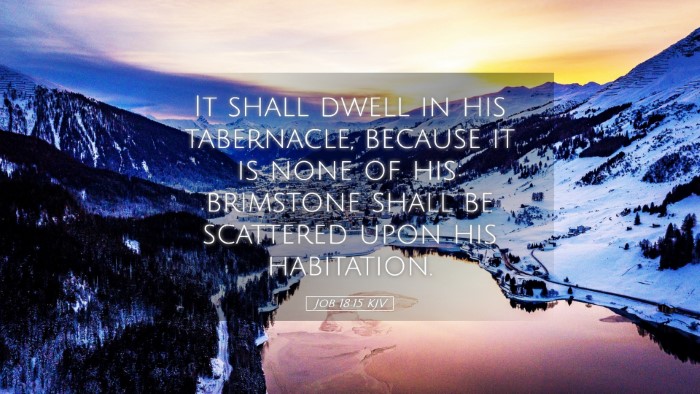Picture 05 - Job 18:15 KJV Desktop Wallpaper - It shall dwell in his tabernacle, because it is - Desktop Bible Verse Wallpaper