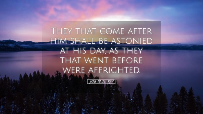 Picture 05 - Job 18:20 KJV Desktop Wallpaper - They that come after him shall be astonied at his - Desktop Bible Verse Wallpaper