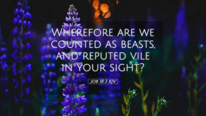 Picture 05 - Job 18:3 KJV Desktop Wallpaper - Wherefore are we counted as beasts, and reputed - Desktop Bible Verse Wallpaper