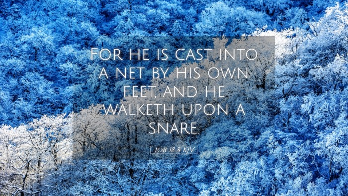 Picture 05 - Job 18:8 KJV Desktop Wallpaper - For he is cast into a net by his own feet, and he - Desktop Bible Verse Wallpaper