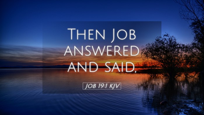 Picture 05 - Job 19:1 KJV Desktop Wallpaper - Then Job answered and - Desktop Bible Verse Wallpaper