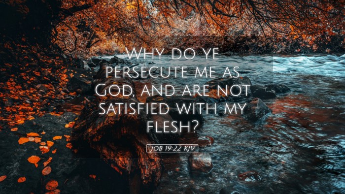 Picture 05 - Job 19:22 KJV Desktop Wallpaper - Why do ye persecute me as God, and are not - Desktop Bible Verse Wallpaper