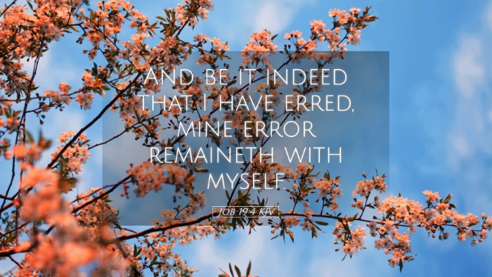 Picture 05 - Job 19:4 KJV Desktop Wallpaper - And be it indeed that I have erred, mine error - Desktop Bible Verse Wallpaper