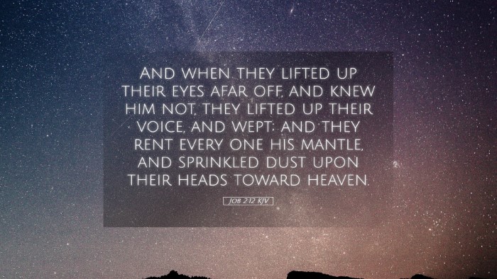 Picture 05 - Job 2:12 KJV Desktop Wallpaper - And when they lifted up their eyes afar off, and - Desktop Bible Verse Wallpaper