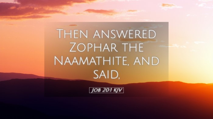 Picture 05 - Job 20:1 KJV Desktop Wallpaper - Then answered Zophar the Naamathite, and - Desktop Bible Verse Wallpaper
