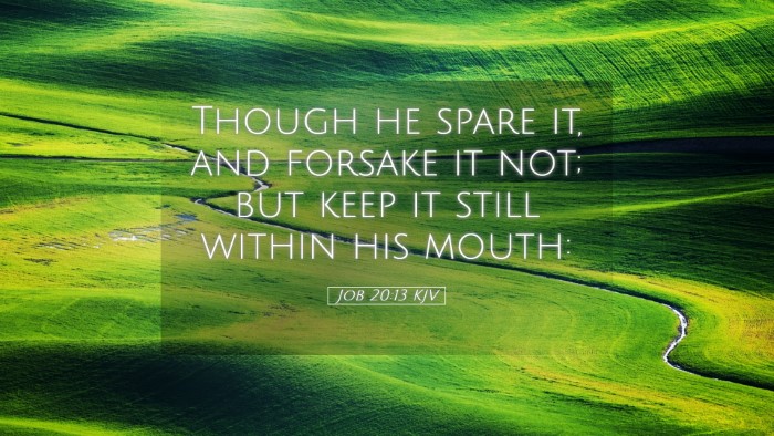 Picture 05 - Job 20:13 KJV Desktop Wallpaper - Though he spare it, and forsake it not; but keep - Desktop Bible Verse Wallpaper