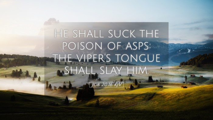 Picture 05 - Job 20:16 KJV Desktop Wallpaper - He shall suck the poison of asps: the viper's - Desktop Bible Verse Wallpaper