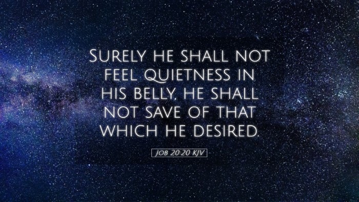 Picture 05 - Job 20:20 KJV Desktop Wallpaper - Surely he shall not feel quietness in his belly, - Desktop Bible Verse Wallpaper
