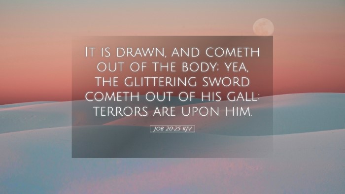 Picture 05 - Job 20:25 KJV Desktop Wallpaper - It is drawn, and cometh out of the body; yea, the - Desktop Bible Verse Wallpaper