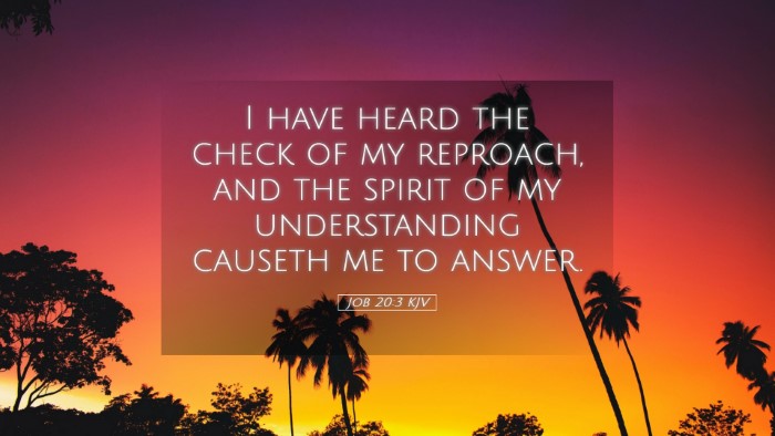 Picture 05 - Job 20:3 KJV Desktop Wallpaper - I have heard the check of my reproach, and the - Desktop Bible Verse Wallpaper