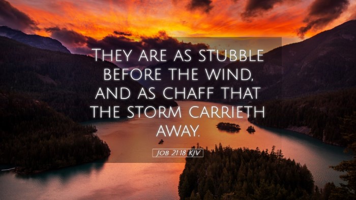 Picture 05 - Job 21:18 KJV Desktop Wallpaper - They are as stubble before the wind, and as chaff - Desktop Bible Verse Wallpaper