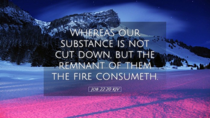 Picture 05 - Job 22:20 KJV Desktop Wallpaper - Whereas our substance is not cut down, but the - Desktop Bible Verse Wallpaper
