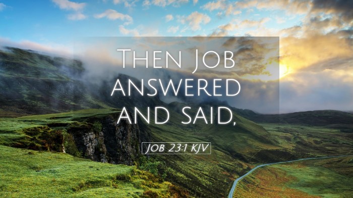 Picture 05 - Job 23:1 KJV Desktop Wallpaper - Then Job answered and - Desktop Bible Verse Wallpaper