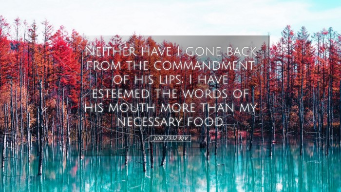 Picture 05 - Job 23:12 KJV Desktop Wallpaper - Neither have I gone back from the commandment of - Desktop Bible Verse Wallpaper