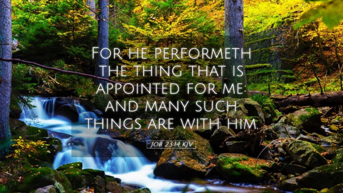 Picture 05 - Job 23:14 KJV Desktop Wallpaper - For he performeth the thing that is appointed for - Desktop Bible Verse Wallpaper