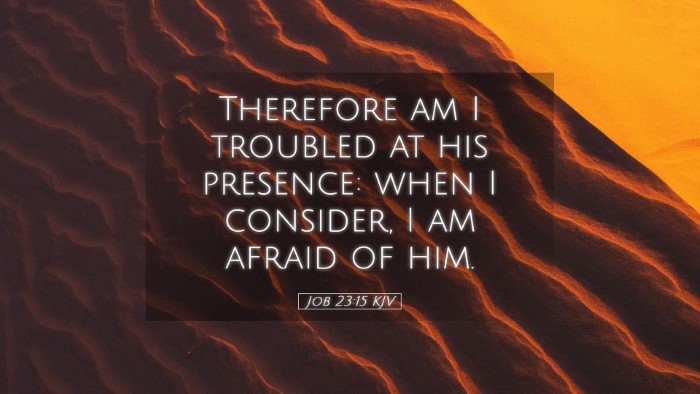 Picture 05 - Job 23:15 KJV Desktop Wallpaper - Therefore am I troubled at his presence: when I - Desktop Bible Verse Wallpaper