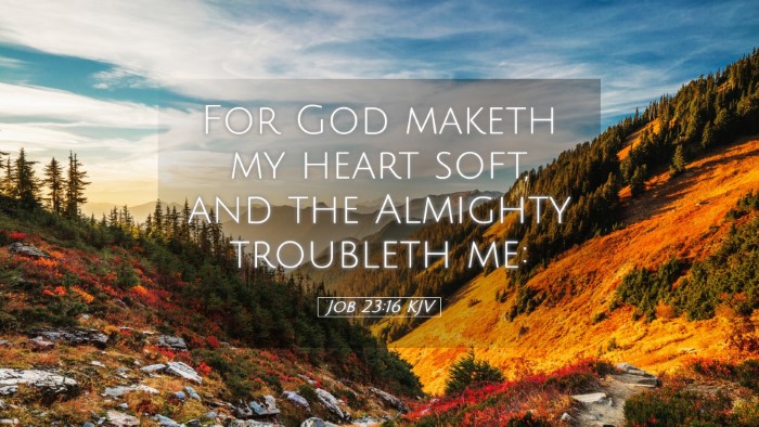 Picture 05 - Job 23:16 KJV Desktop Wallpaper - For God maketh my heart soft, and the Almighty - Desktop Bible Verse Wallpaper