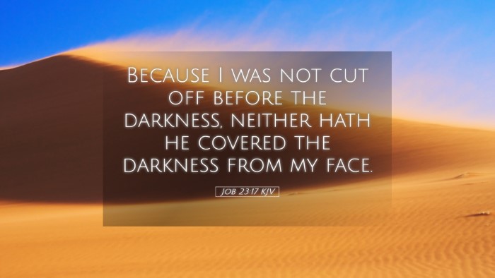 Picture 05 - Job 23:17 KJV Desktop Wallpaper - Because I was not cut off before the darkness, - Desktop Bible Verse Wallpaper