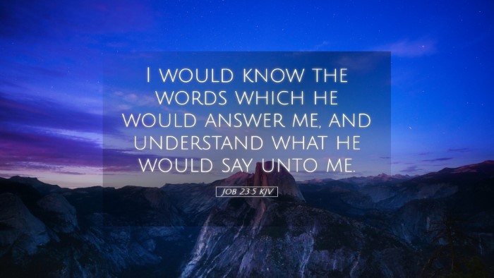 Picture 05 - Job 23:5 KJV Desktop Wallpaper - I would know the words which he would answer me, - Desktop Bible Verse Wallpaper