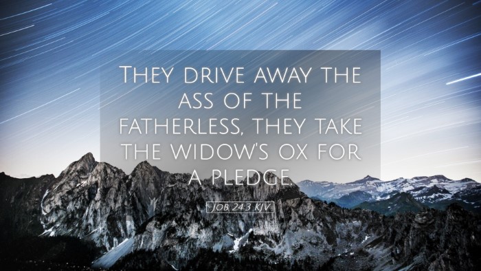Picture 05 - Job 24:3 KJV Desktop Wallpaper - They drive away the ass of the fatherless, they - Desktop Bible Verse Wallpaper