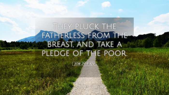 Picture 05 - Job 24:9 KJV Desktop Wallpaper - They pluck the fatherless from the breast, and - Desktop Bible Verse Wallpaper