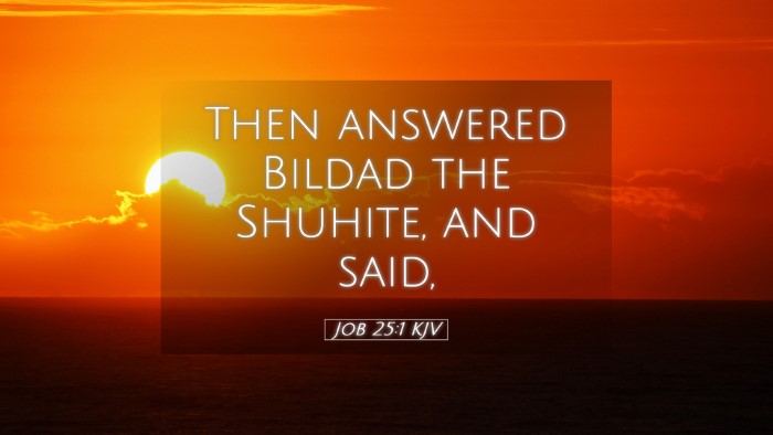 Picture 05 - Job 25:1 KJV Desktop Wallpaper - Then answered Bildad the Shuhite, and - Desktop Bible Verse Wallpaper
