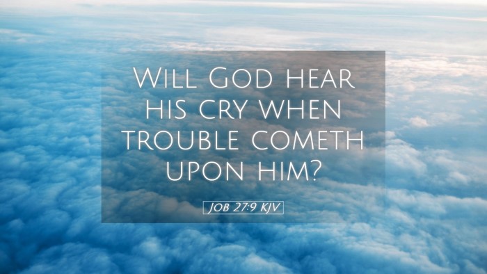 Picture 05 - Job 27:9 KJV Desktop Wallpaper - Will God hear his cry when trouble cometh upon - Desktop Bible Verse Wallpaper