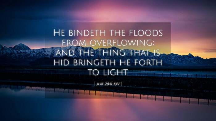 Picture 05 - Job 28:11 KJV Desktop Wallpaper - He bindeth the floods from overflowing; and the - Desktop Bible Verse Wallpaper