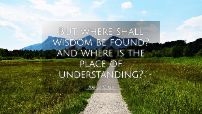 Picture 05 - Job 28:12 KJV Desktop Wallpaper - But where shall wisdom be found? and where is the - Desktop Bible Verse Wallpaper
