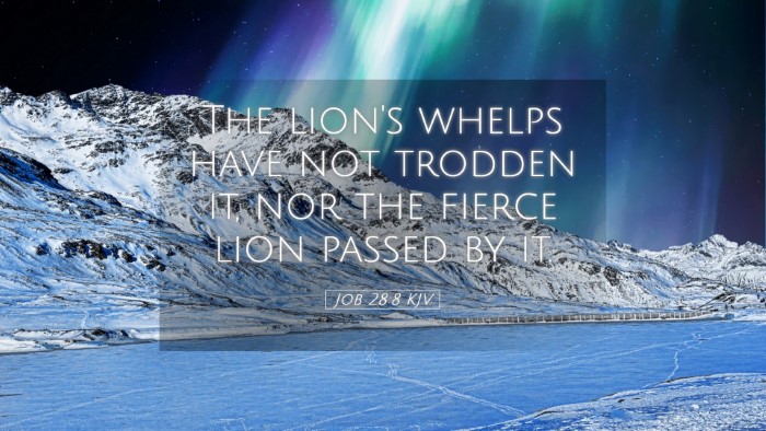 Picture 05 - Job 28:8 KJV Desktop Wallpaper - The lion's whelps have not trodden it, nor the - Desktop Bible Verse Wallpaper