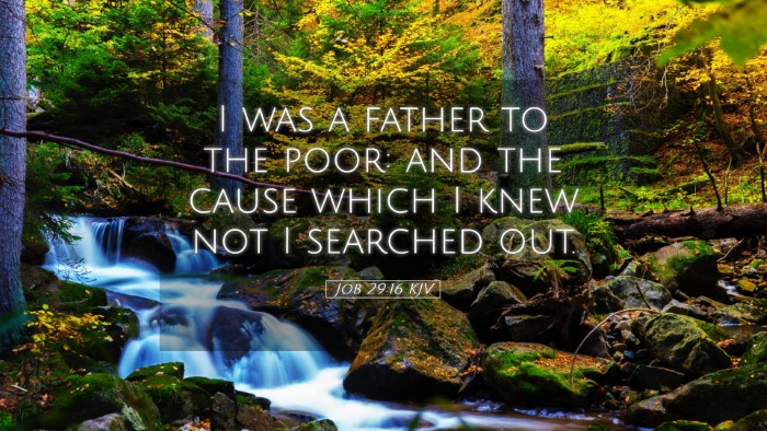 Picture 05 - Job 29:16 KJV Desktop Wallpaper - I was a father to the poor: and the cause which I - Desktop Bible Verse Wallpaper