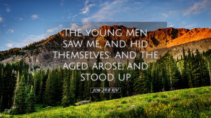 Picture 05 - Job 29:8 KJV Desktop Wallpaper - The young men saw me, and hid themselves: and the - Desktop Bible Verse Wallpaper