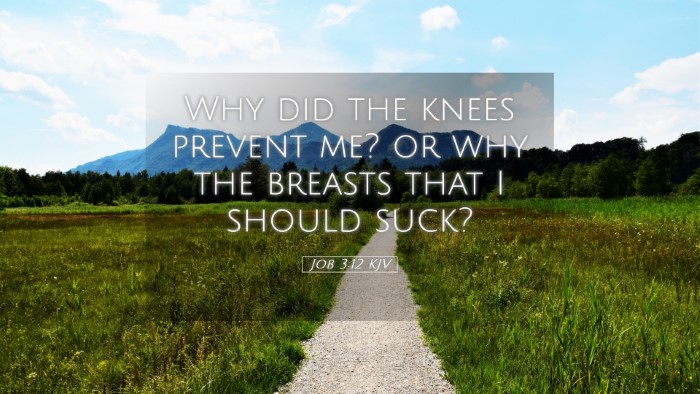 Picture 05 - Job 3:12 KJV Desktop Wallpaper - Why did the knees prevent me? or why the breasts - Desktop Bible Verse Wallpaper